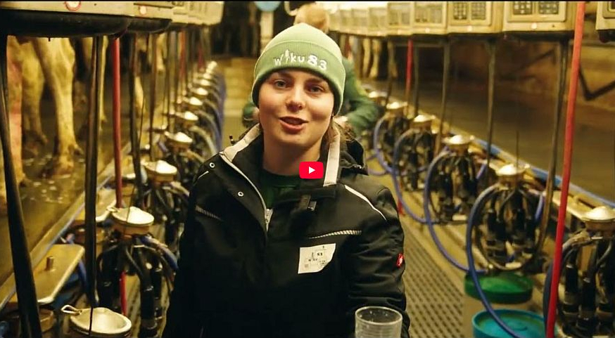 Wiku 83 - Filmprojekt